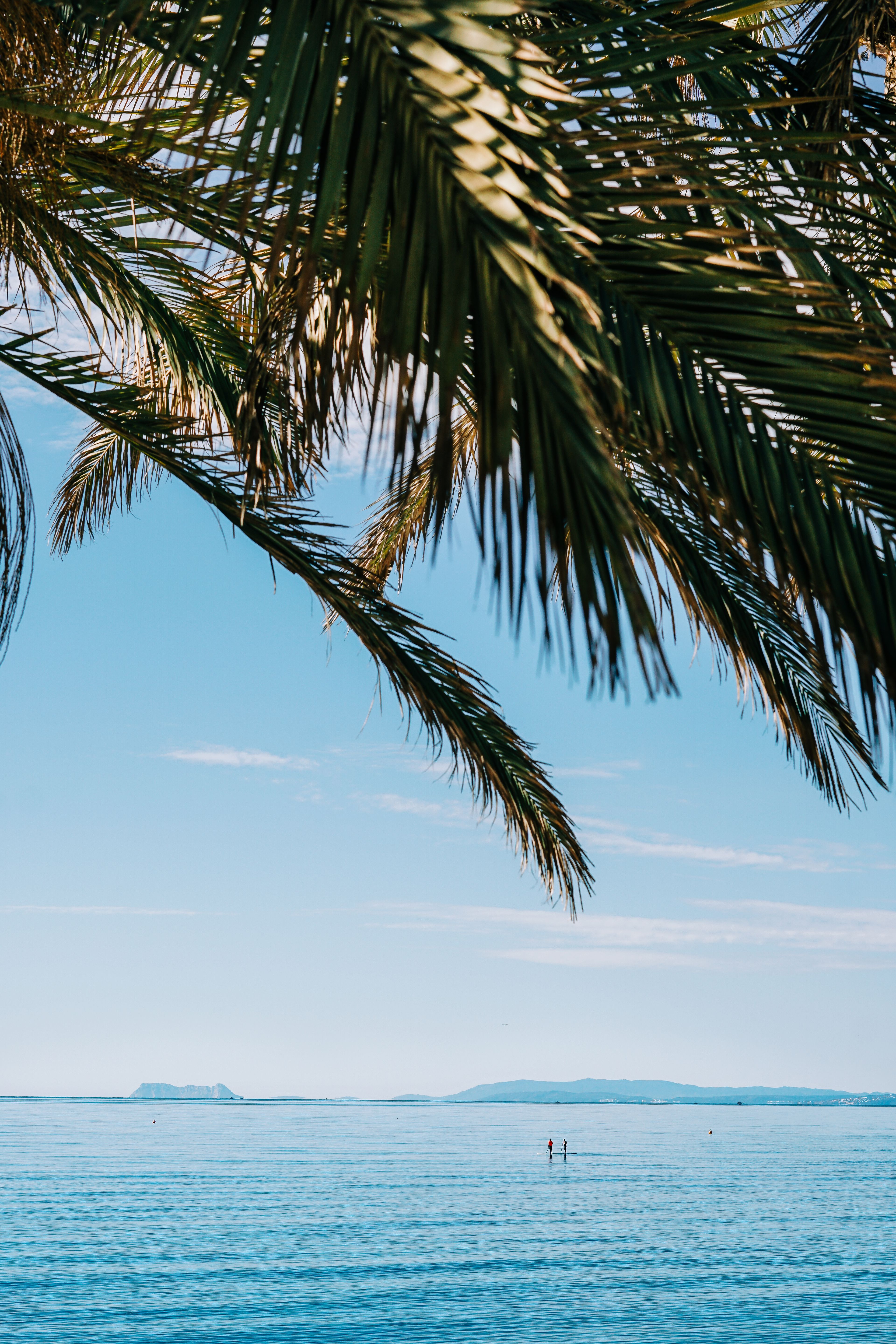 Palm leaves framing the Mediterranean shoreline in Marbella